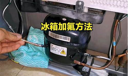 冰箱怎么加氟视频-冰箱怎么加氟